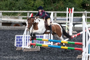 Class 4 - Fences 2'3 to 2'6